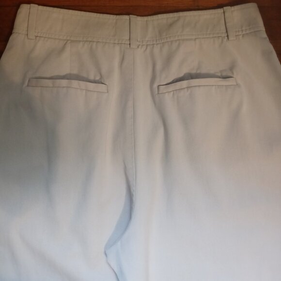 EVERLANE the draper pleated pants in sandstone (12R) - Picture 11 of 16